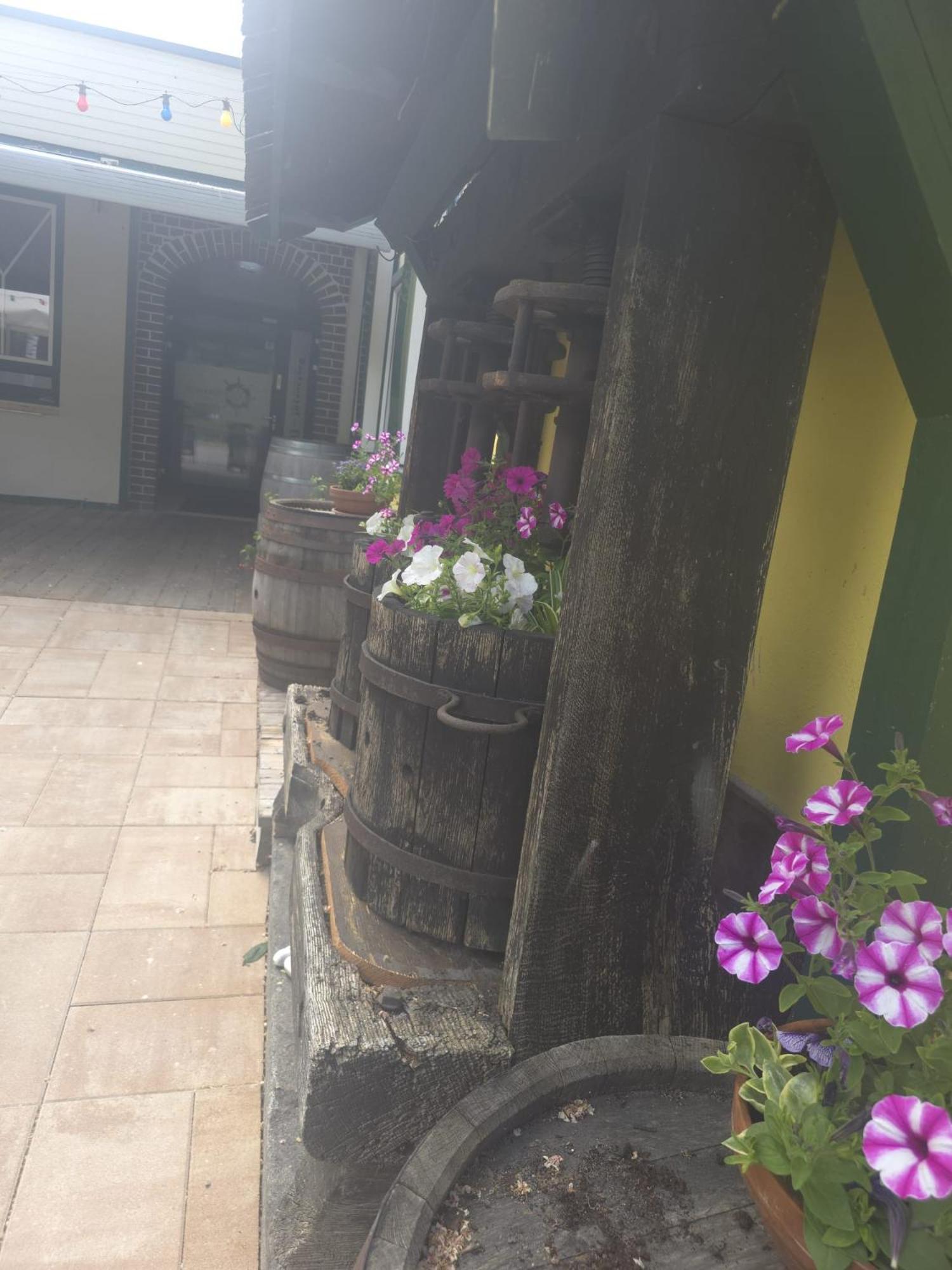 Gasthof Zum Schiffmeister Wesenufer エクステリア 写真